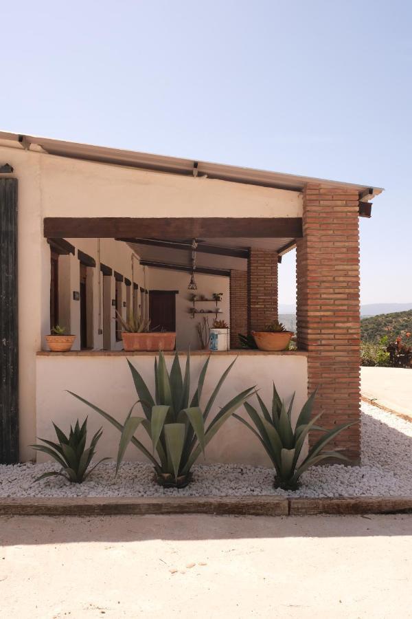 The Wild Olive Andalucia Palma Guestroom Casares Extérieur photo
